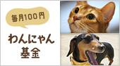 フェリシモ猫部　わんにゃん支援活動