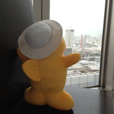 IMG_8546.jpg