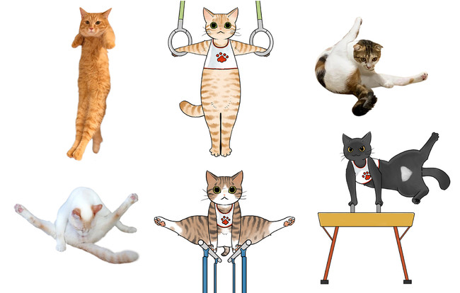からだのやわらかい猫を体操選手にした「体操猫」のマフラータオルと