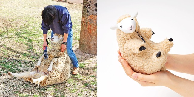 六甲山牧場限定 フェリシモ 羊の毛刈りぬいぐるみ