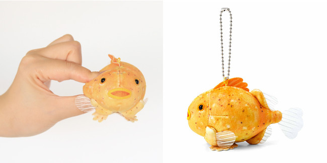 YOU+MORE!　タカアシガニ脱皮ぬいぐるみ　フェリシモ 新江ノ島水族館とコラボ！タカアシガニ脱皮ぬいぐるみ│YOU+MORE