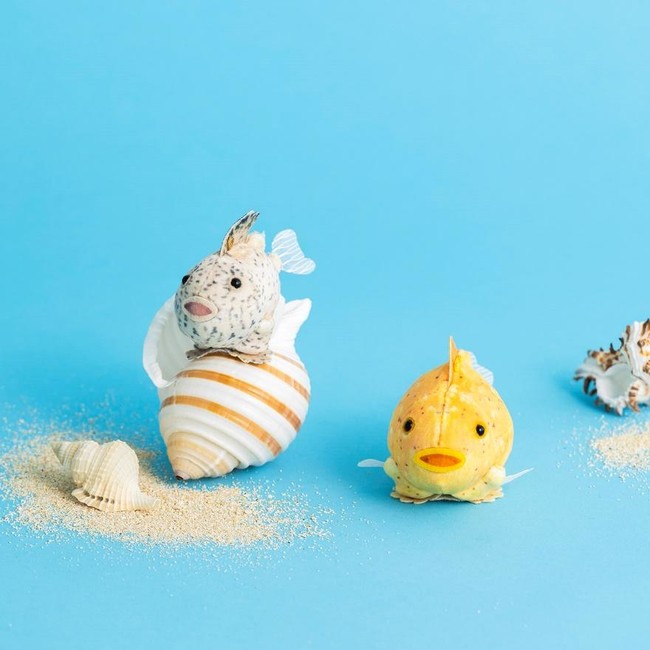 YOU+MORE!　タカアシガニ脱皮ぬいぐるみ　フェリシモ 新江ノ島水族館とコラボ！タカアシガニ脱皮ぬいぐるみ│YOU+MORE