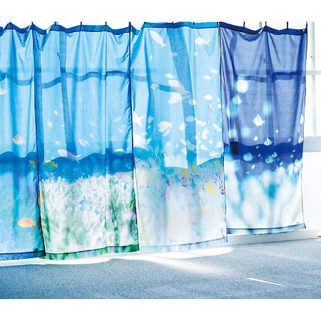 水中写真家・鍵井靖章さんの鮮やかな海の景色をうつした「大判