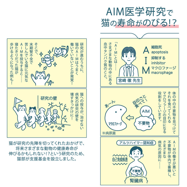 龍脈の精髄 ― 宮崎産 虹入り成長干渉煙水晶 【保護猫活動支援】 龍脈の精髄 クラスター 宮崎の山が授けた浄化と守護 売上一部