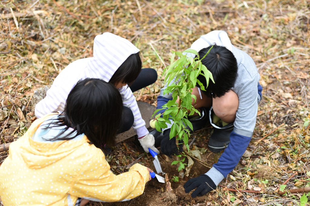 植樹の様子