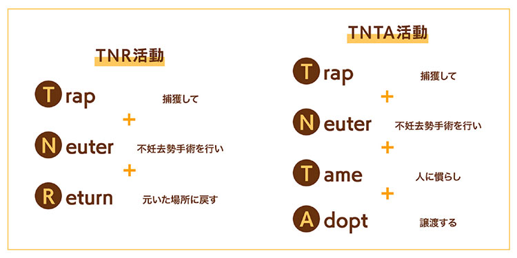 TNR活動とTNTA活動