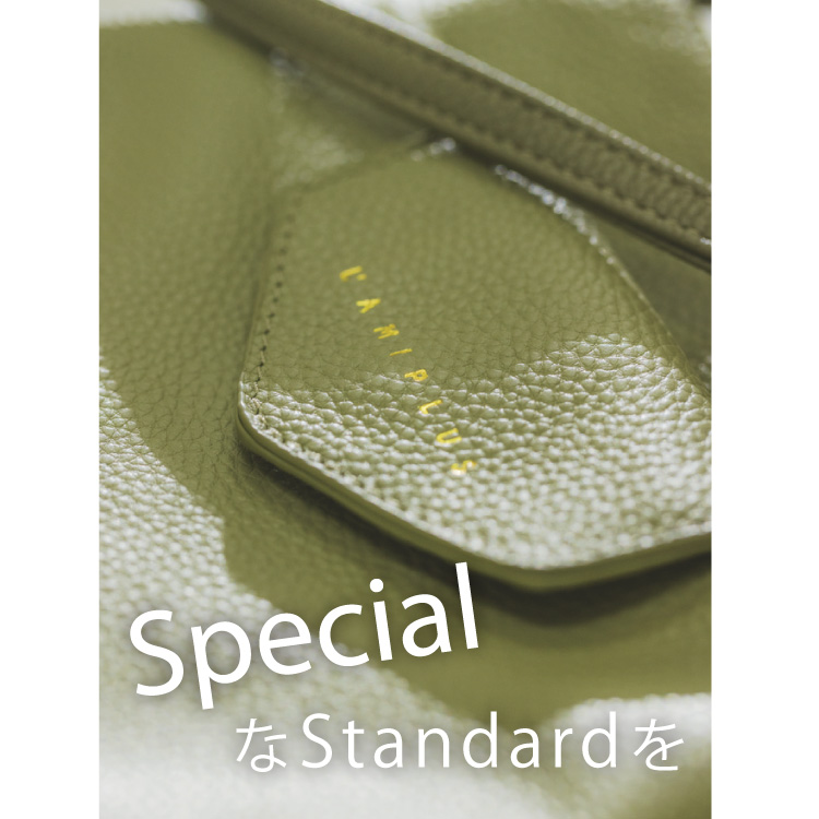 Specialなstandardを