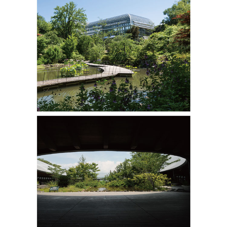 高知県立牧野植物園