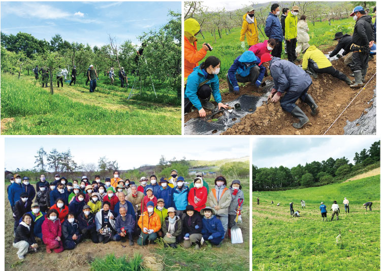 北海道仁木町の木村秋則自然栽培農学校仁木農場にて。木村さんは自然栽培のすばらしさをたくさんの人に継承すべく、指導活動を続けられています。