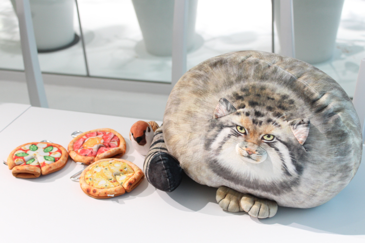 「丸すぎる世界最古の猫 マヌルネコもっちりクッション 」のお隣には、美味しそうなピザが…！