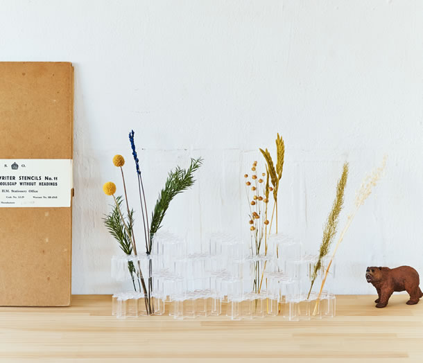 ②初級編：まるできれいな標本のようなビジュアルに「いいね！」