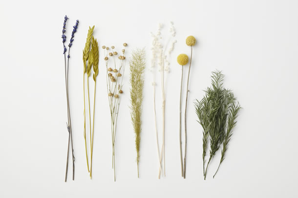 ドライフラワーセット
