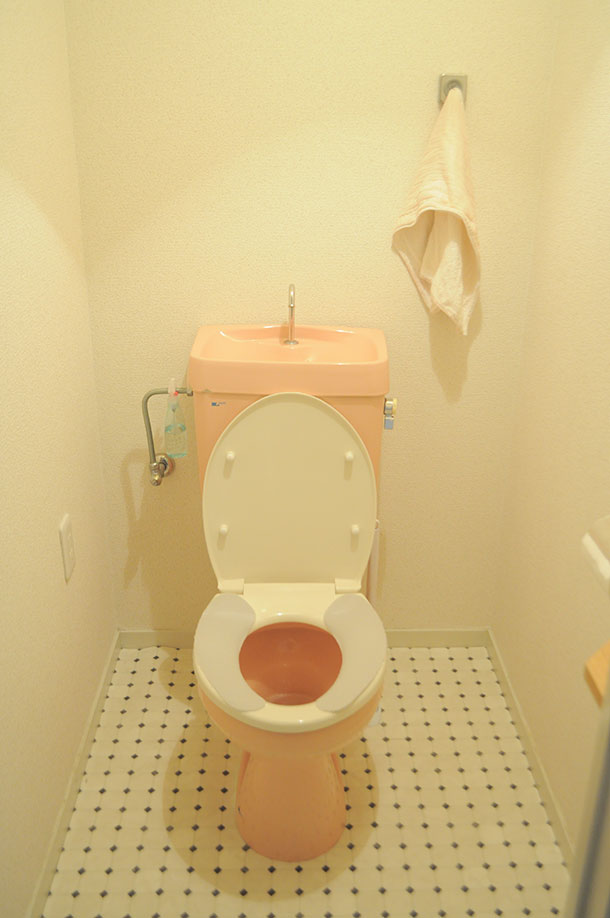 賃貸でも初心者でも その２ 理想の暮らしをかなえるdiy タンクレス風トイレに挑戦 フェリシモ女子diy部ブログ