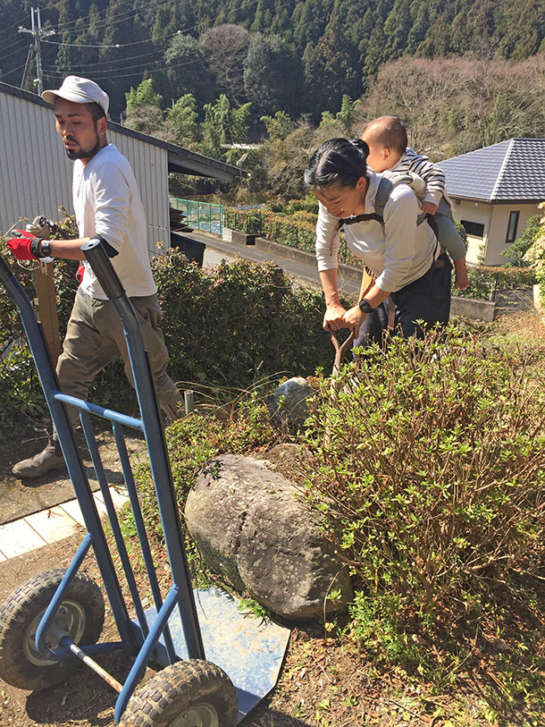 最終どのようにするか決めてはいないけれど、一回全部なくしてすっきりしたいなと思い奈良に来て知り合った塩津植物研究所さんにお願いしました