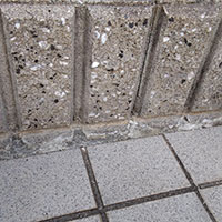 インスタントセメントを使って、コンクリートやブロックのすき間から生える雑草対策DIY2！