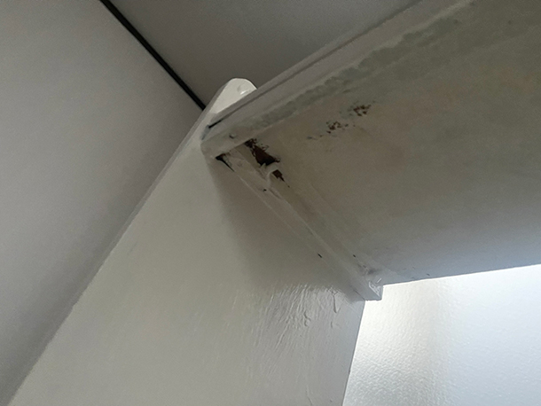 二度塗りして乾燥させた後