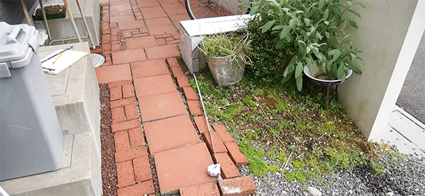 自転車置き場のまだ手をつけていない一角