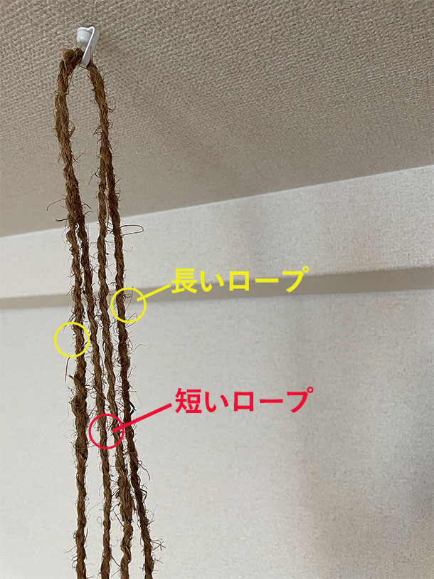 内側が短いロープ、外側が長いロープ