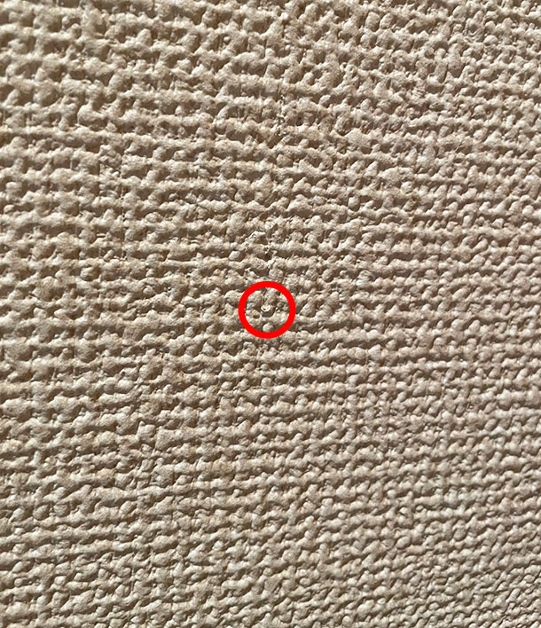 しっかり見ておくことをおすすめします笑