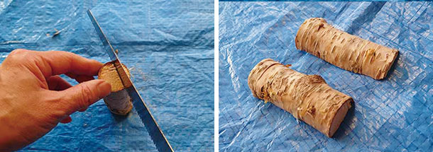 次に白樺を縦にカット