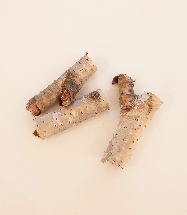 白樺の小枝をプラスしていきます