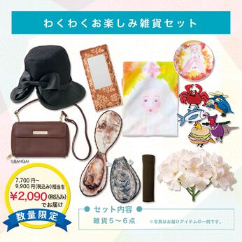 WEB限定お買い得商品 | わくわくお楽しみ雑貨セット