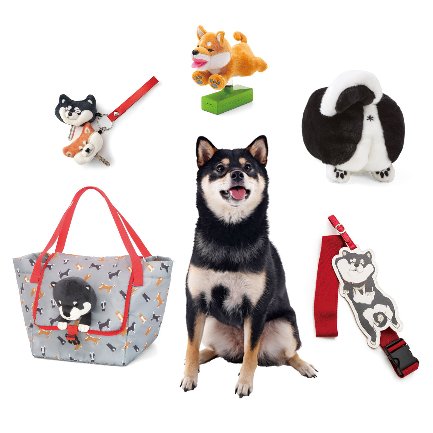 黒いの出ました！忠犬ＳＨＩＢＡ ＢＬＡＣＫ｜キャンペーン｜レディースファッション・雑貨のアウトレット通販｜WEB限定お買い得商品