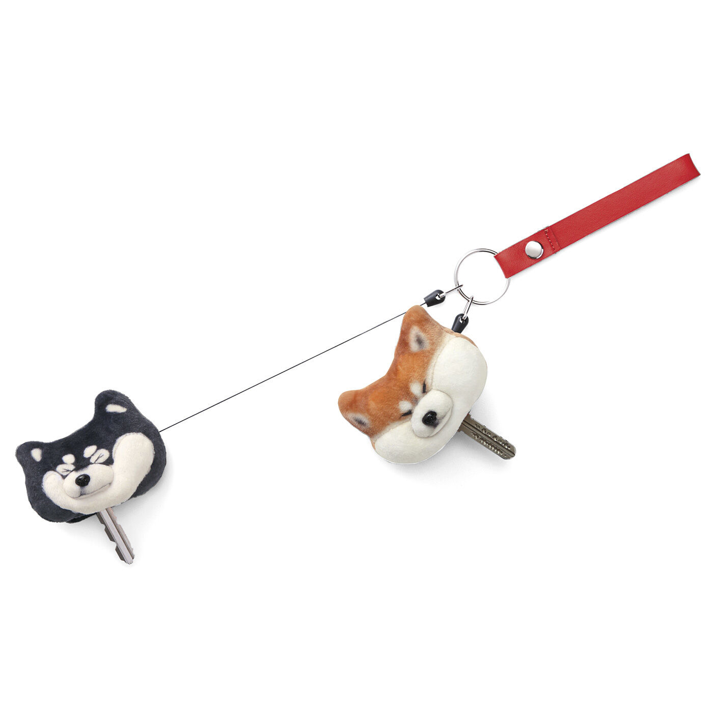 黒いの出ました！ 忠犬 SHIBA BLACK｜WEB限定お買い得商品