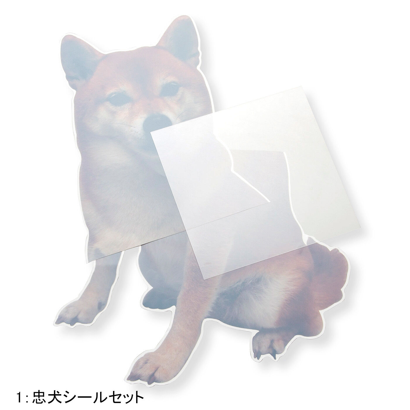 WEB限定お買い得商品|ご主人さまをそばで守るのだ　忠犬SHIBAシリーズ|【忠犬シールセット】　■セット内容/犬シール1セット（2枚1組）、鍵まわり用シール1枚　■素材/飽和ポリエステル樹脂　■サイズ/犬シール：縦約60cm、横約35cm（完成時）鍵まわり用シール：約20×20cm、厚み約200μm　※本品のみでは防犯効果は低いです。市販の防犯用品との併用をおすすめします。　●１回のお届け内容です。