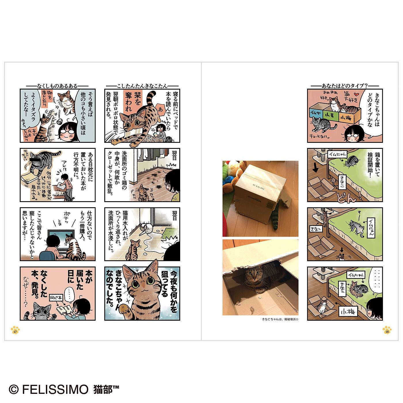 realstock [リアルストック]（Express BOX）|コミック『猫まみれライフ』第2巻