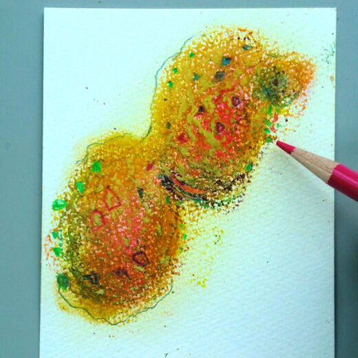 realstock [リアルストック]（Express BOX）|脳がめざめるお絵かきプログラム　オイルパステル編用　画材セット12「殻つきからころピーナッツ」