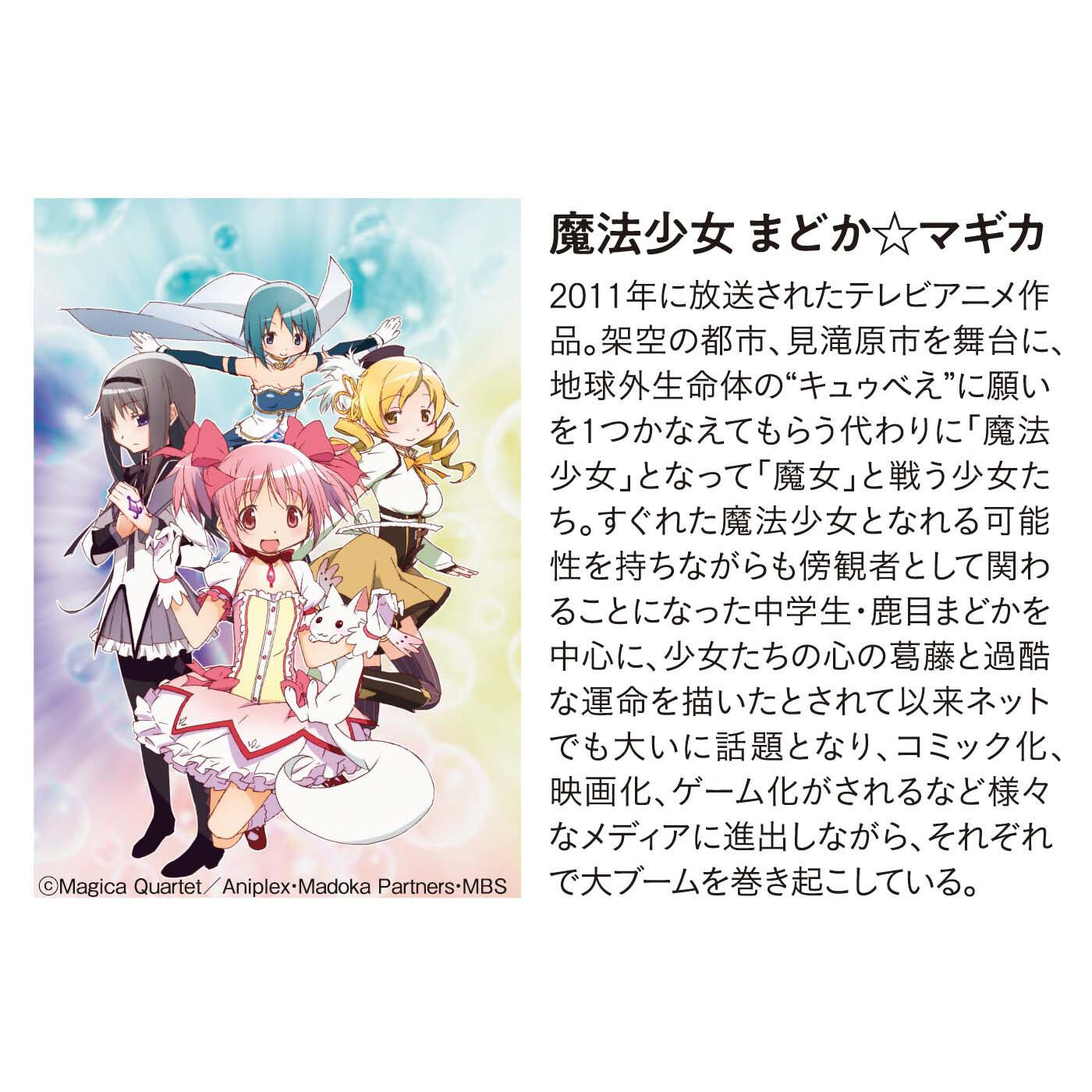 Real Stock|魔法少女まどか☆マギカ　委員長の魔女と手下の洗濯ネット
