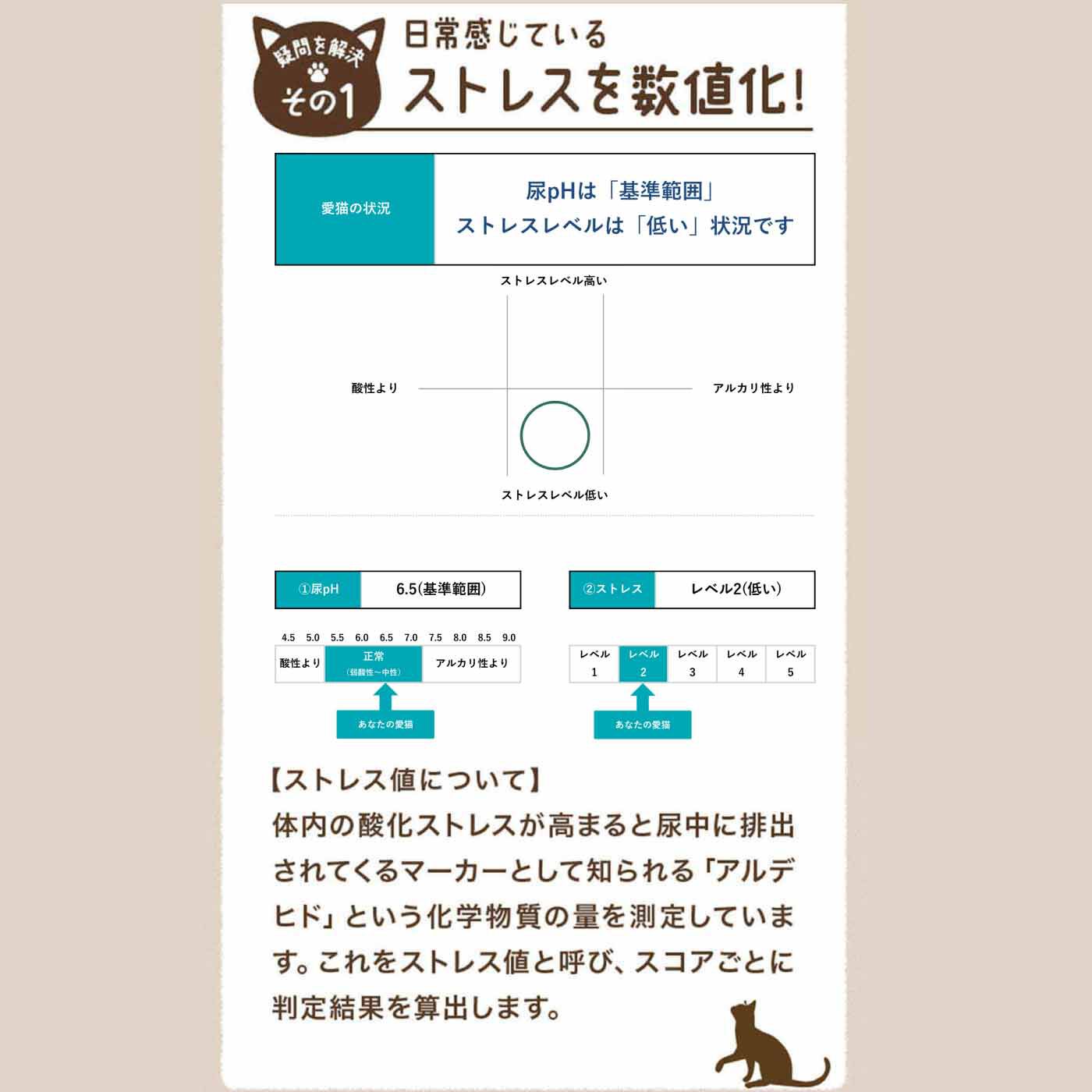 Real Stock|愛猫のための猫用尿検査キット