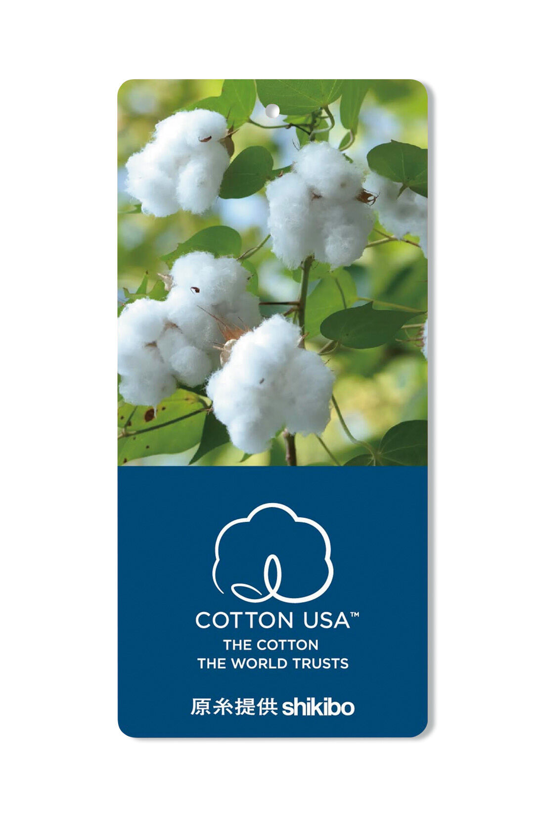 Real Stock|IEDIT[イディット]　USAコットンミニ裏毛トップス〈3〉|アメリカ綿を使用した優秀な品質の商品にのみ使用を認められた、COTTON USA(TM)（R）マーク付き。