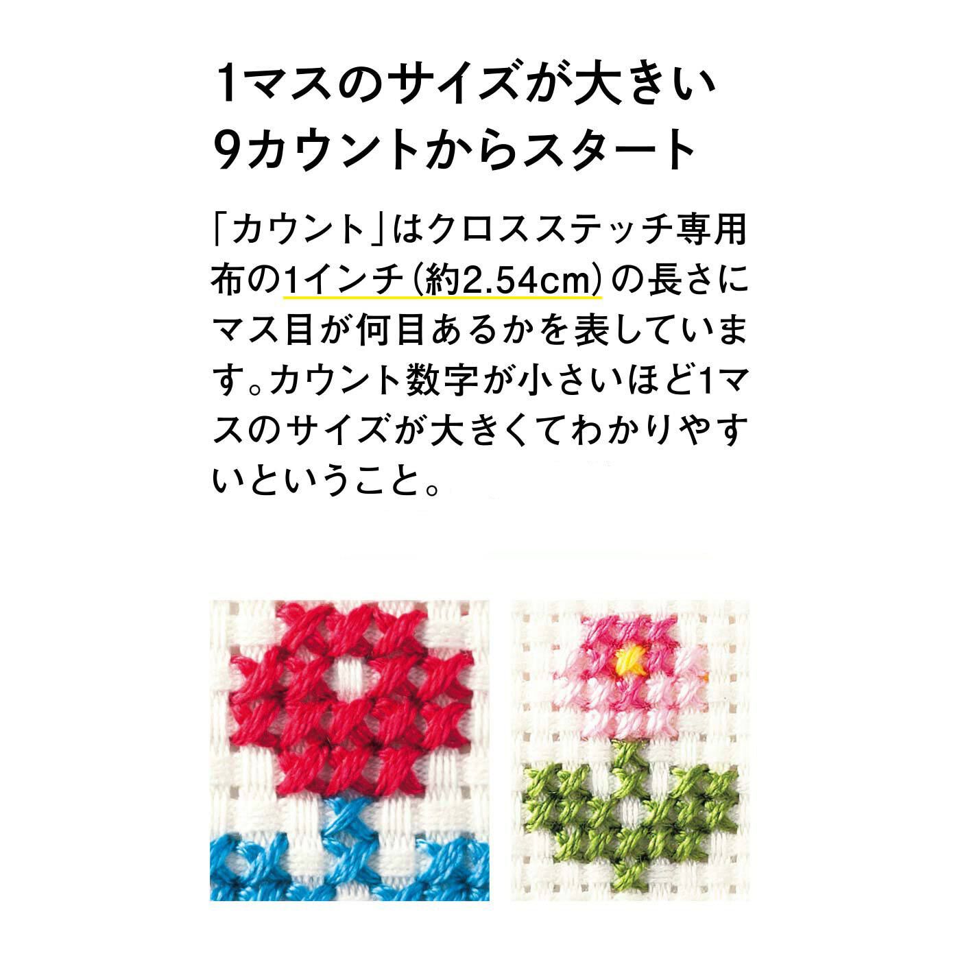 realstock [リアルストック]（Express BOX）|クロスステッチがどんどん好きになる　ステップアップ式レッスン
