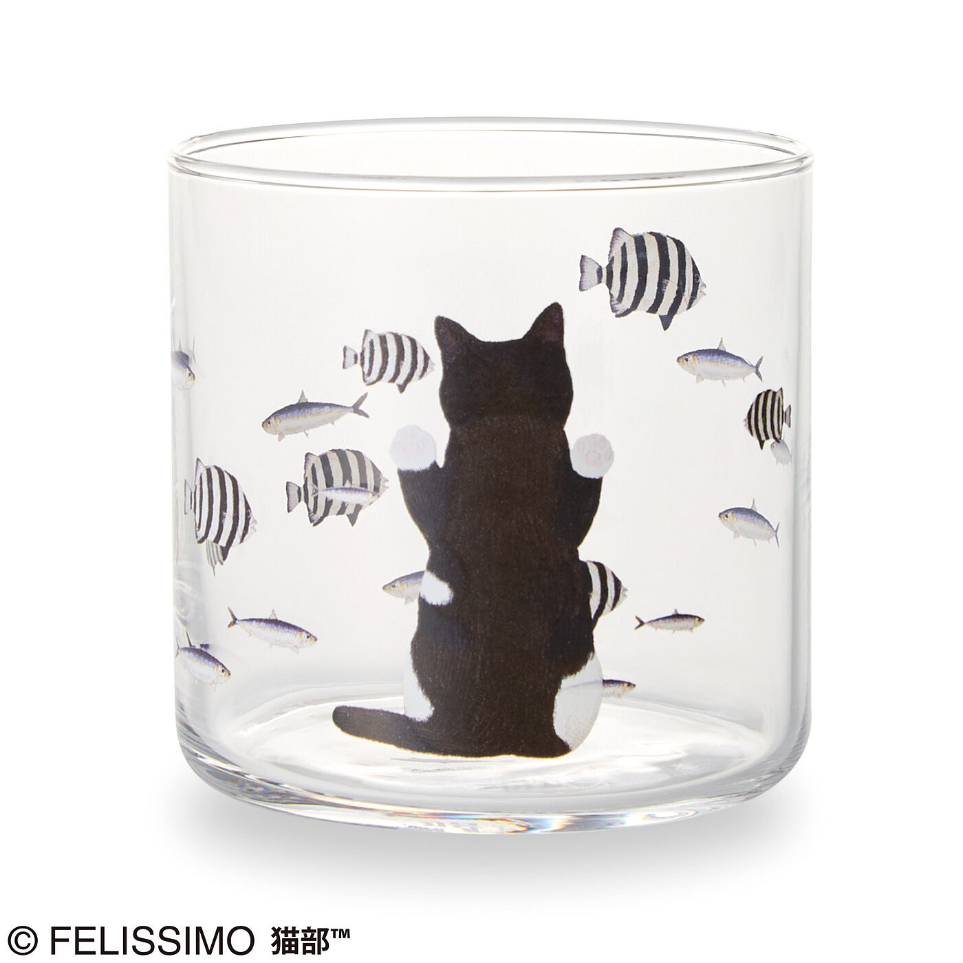 Real Stock|おいしそうだニャ～　猫さん夢の水族館グラス|夢中でのぞき込むうしろ姿に注目！
