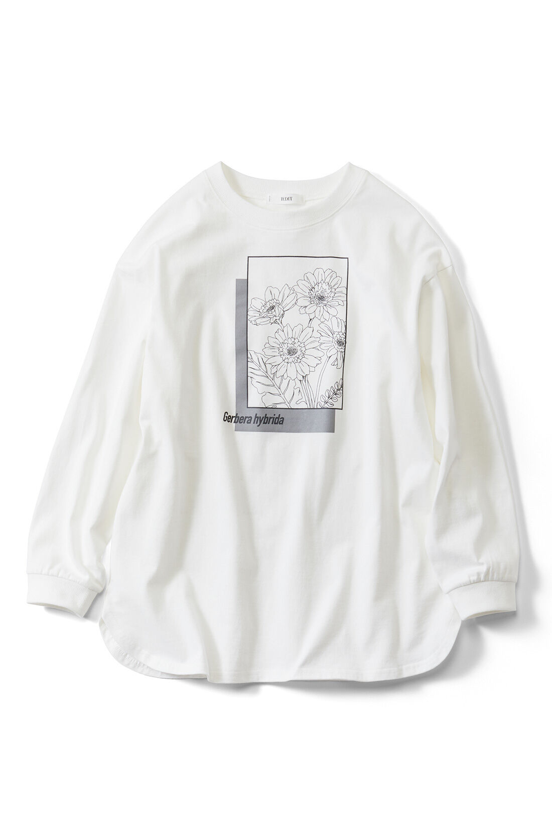 realstock [リアルストック]（Express BOX）|Live love cotton（R）プロジェクト IEDIT[イディット]　大人のためのモノトーンフラワーロゴプリントTシャツ〈ガーベラ〉|ガーベラ 『前進、希望』 ガーベラの華やかな色のように、気持ちも明るく“前向き”に。