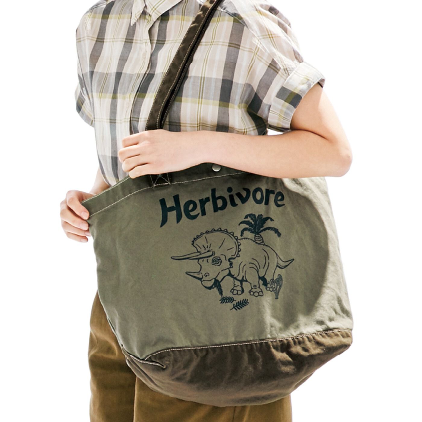 Real Stock|古着屋さんで見つけたような恐竜柄帆布（はんぷ）トートバッグ