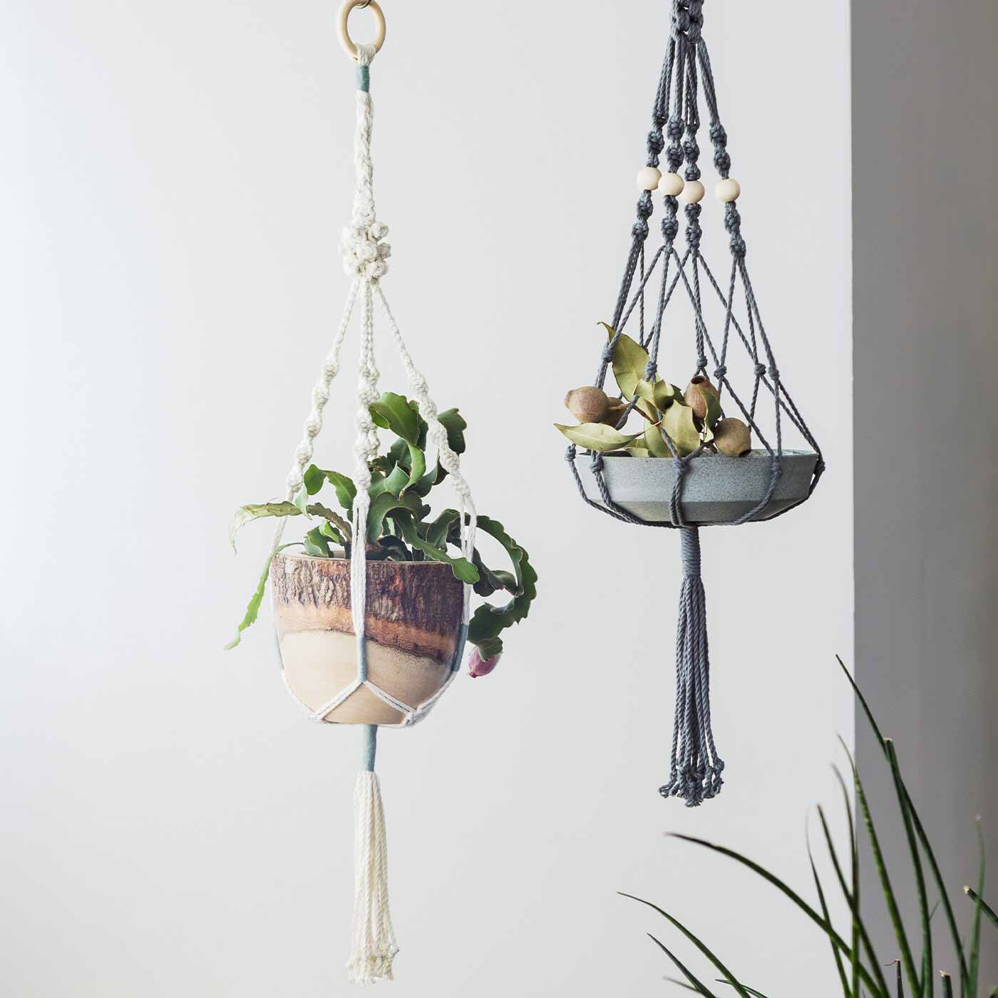 マクラメで彩るインテリア プラントハンガーキットの会｜SeeMONO
