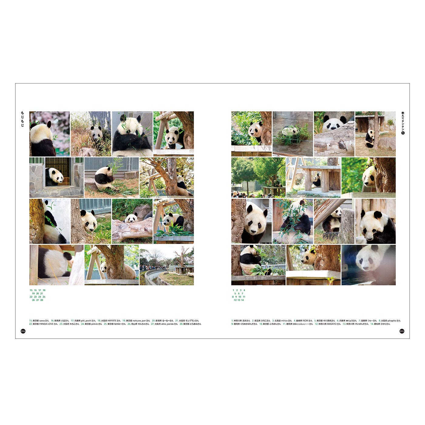 YOU+MORE! 写真集『神戸市立王子動物園のシャイなパンダ
