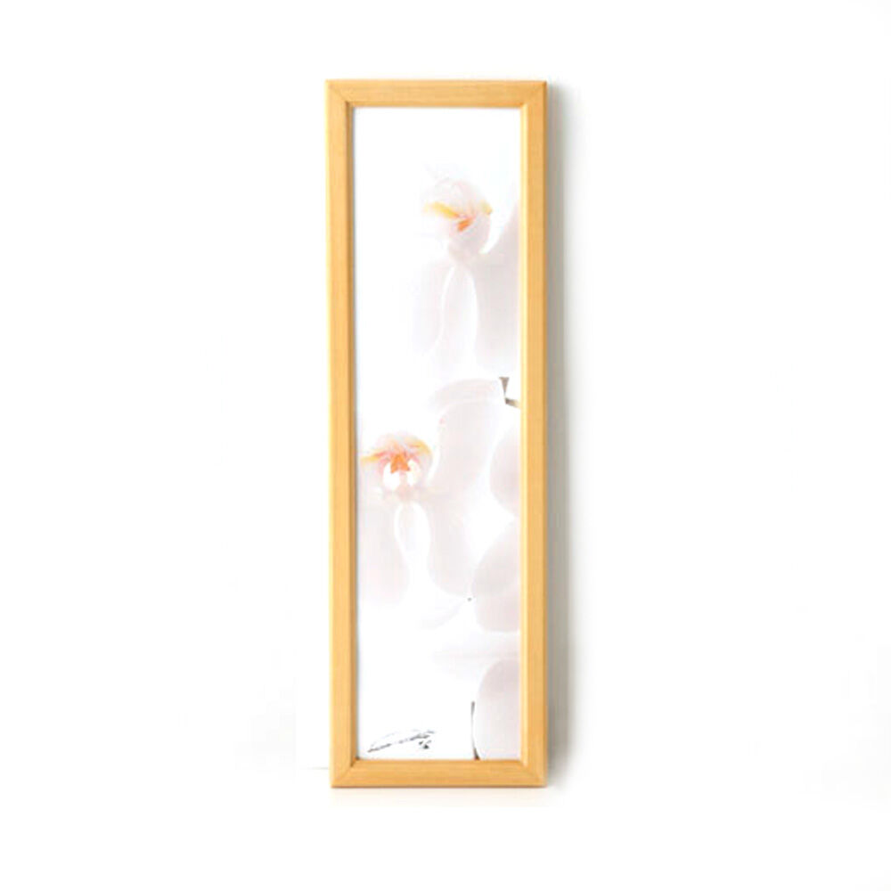 Real Stock|la fleur〈WEDDING orchid～永遠に咲くしあわせ-3〉photo:yukihito MASUURA