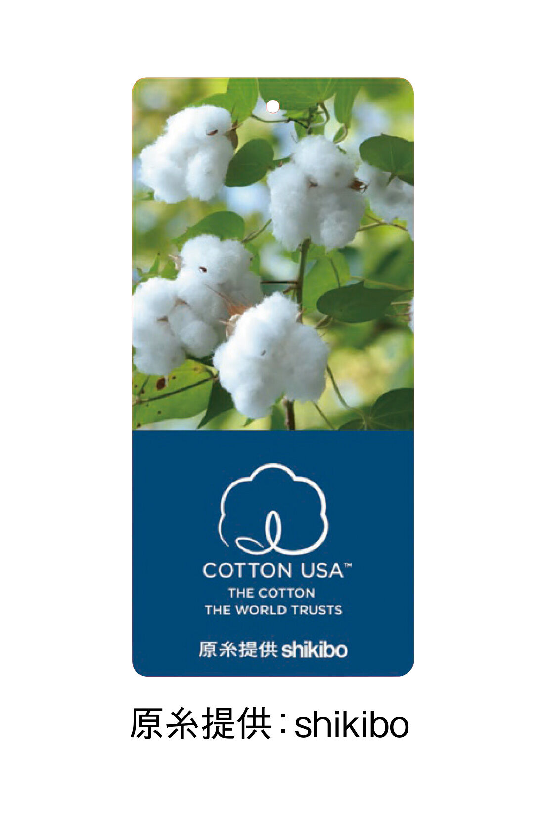 Real Stock|IEDIT[イディット]　USAコットンのラフシルエットなスウェットトップス〈オフホワイト〉|アメリカ綿を使用した優秀な品質の商品にのみ使用を認められた、COTTON USA（TM）のマーク付き。