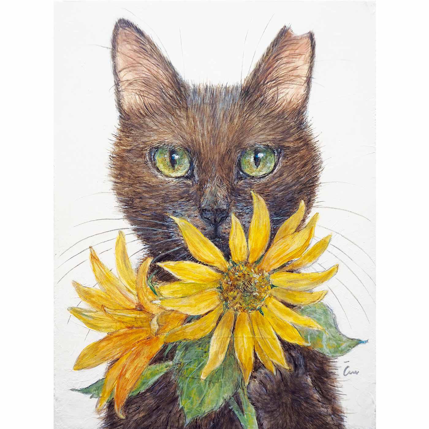 realstock [リアルストック]（Express BOX）|Cimi Cat Painter×猫部 地域猫チャリティーTシャツ