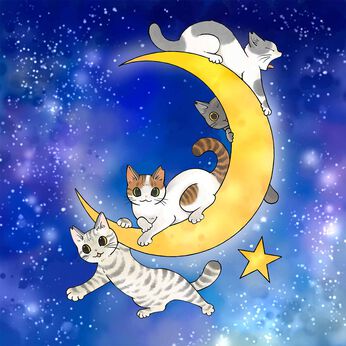 Real Stock | 山野りんりん地域猫Ｔシャツ２０２３