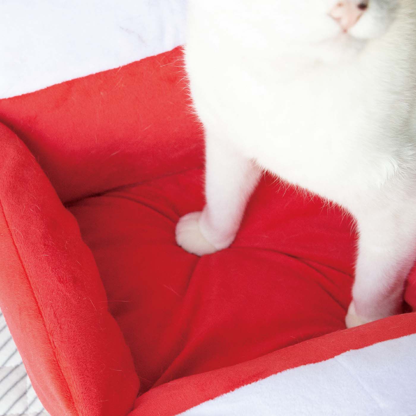 Real Stock|おうちで遊園地気分　猫用パンダカーベッド|ベッド部分は猫が安心して眠れるふかふかのクッション。