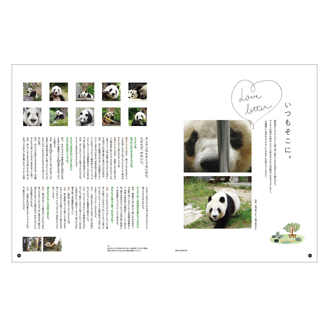 Real Stock|YOU+MORE!　写真集『神戸市立王子動物園のシャイなパンダ　タンタン』|飼育員さんにタンタンについてお聞きしたインタビューページはまるでラブレターのよう。