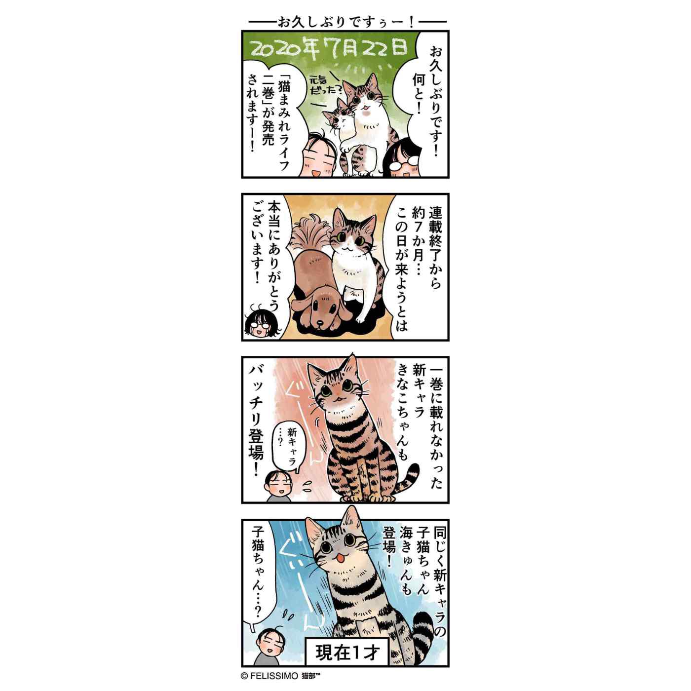 realstock [リアルストック]（Express BOX）|コミック『猫まみれライフ』第2巻