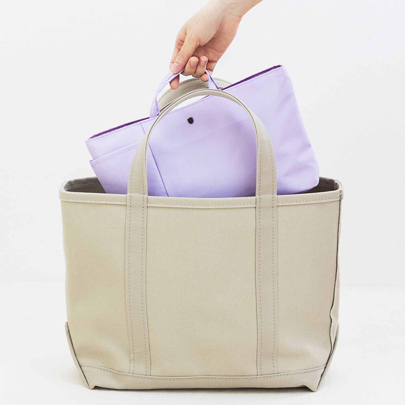 Real Stock|エッセイスト・整理収納アドバイザー 柳沢 小実さんと作った　バッグの中すっきり　横長バッグインポケット|ポケットのないバッグに入れて、すっきり収納。