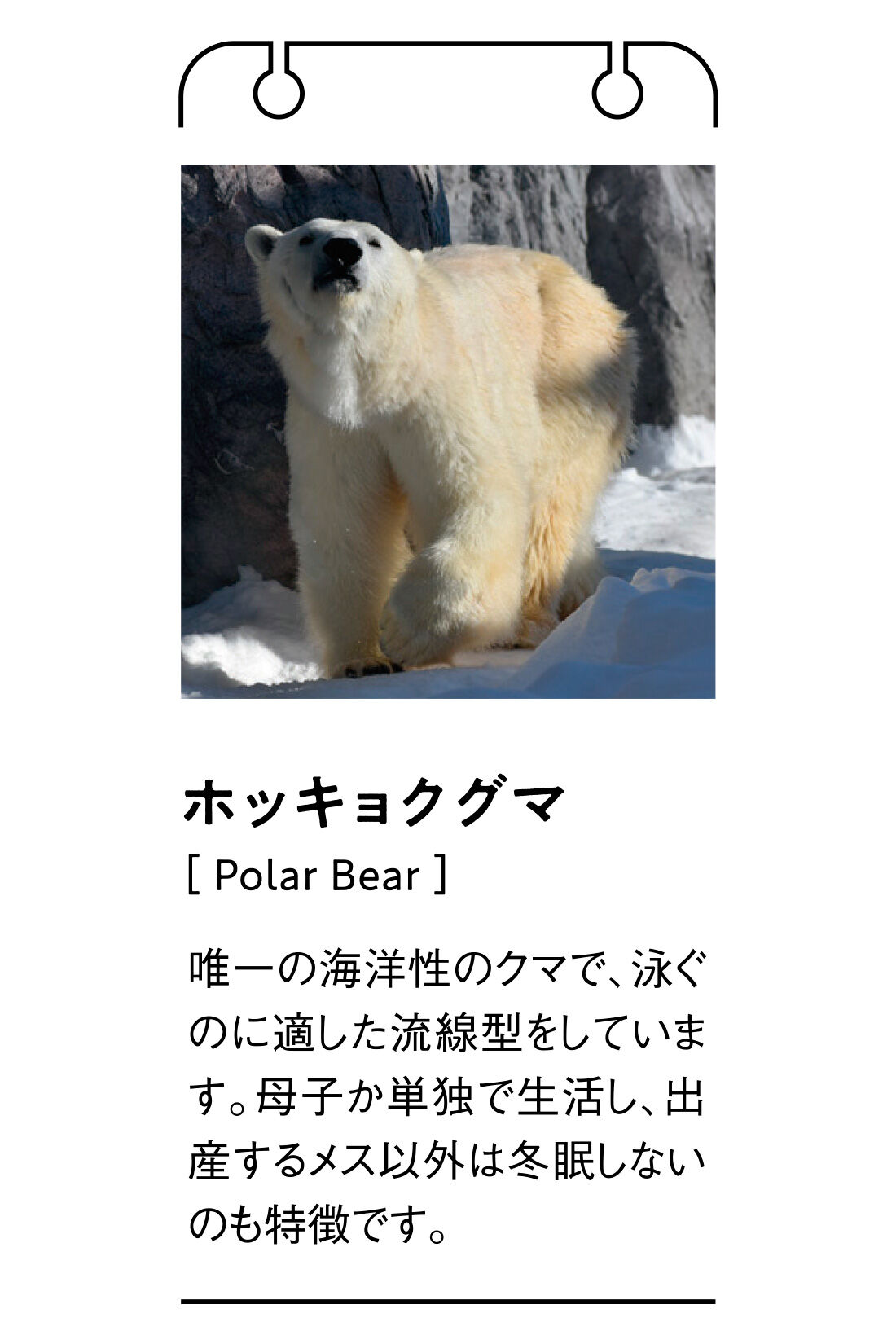 realstock [リアルストック]（Express BOX）|【3～10日でお届け】旭山動物園・ボルネオの森応援商品 Live in comfort ホッキョクグマといつでも一緒 もちもちニットプルオーバー〈ネイビー〉