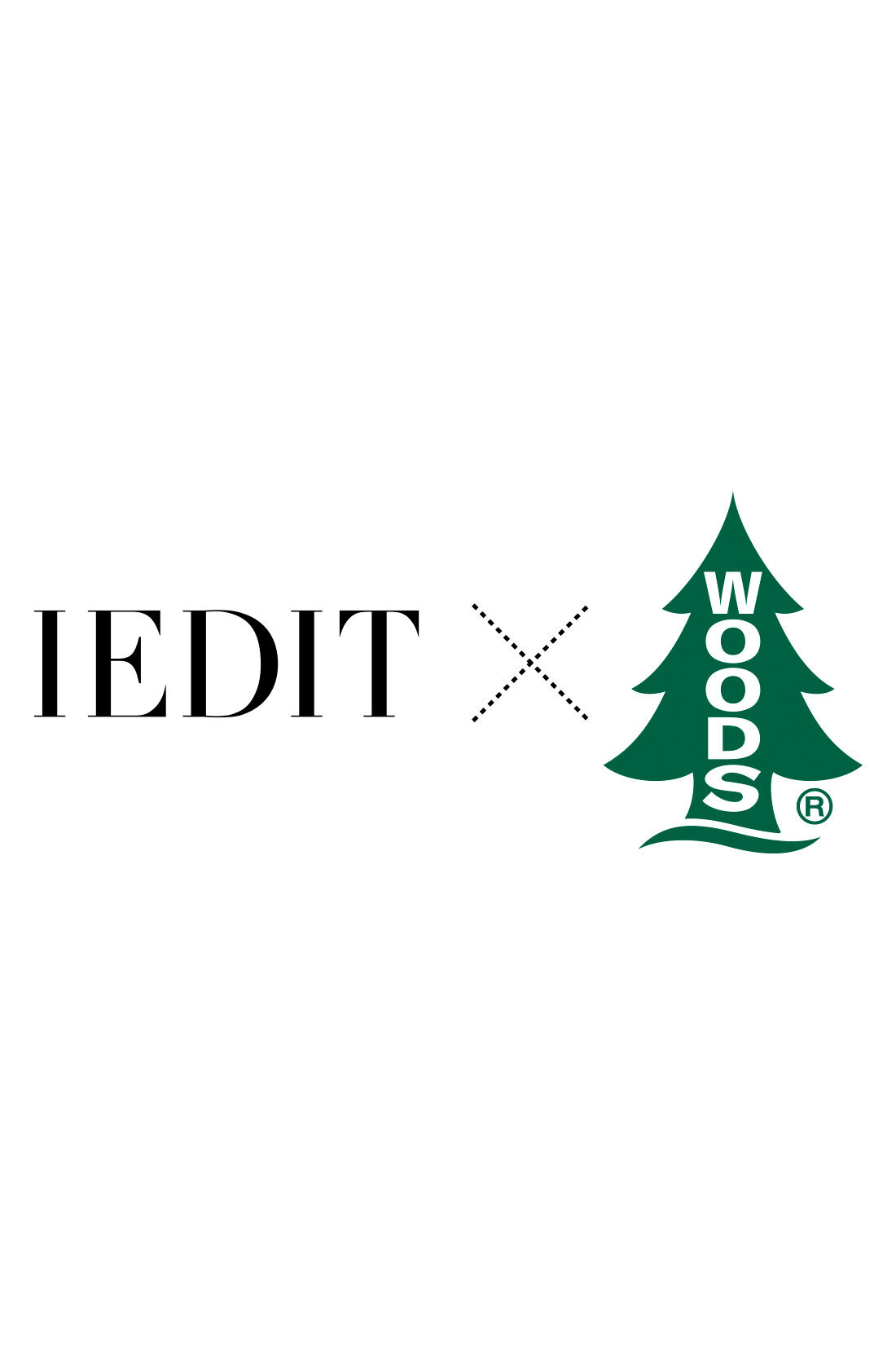 Real Stock|IEDIT[イディット]　ＷＯＯＤＳコラボ　撥水フレアーカーゴスカート〈カーキ〉